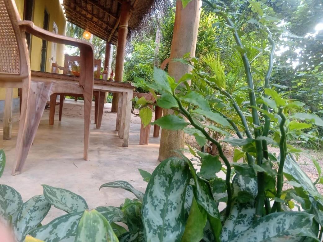 Hotel Kelaya At Hiriketiya Collection Dickwella Zewnętrze zdjęcie
